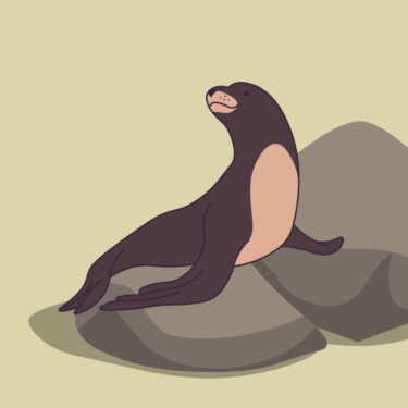 Illustration of a sea lion sitting on top of rocks.
